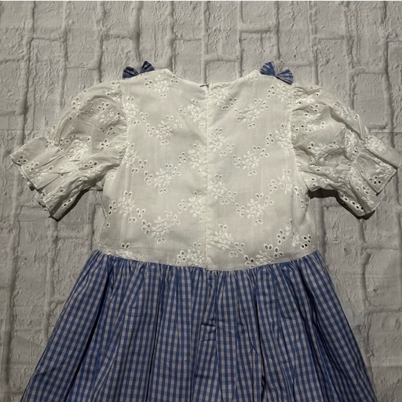 Trish Scully Dorothy/Wizard of Oz Costume - Picture 4 of 7